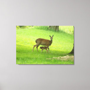 Whitetail Herten (Doe) en Fawn Canvas Afdruk
