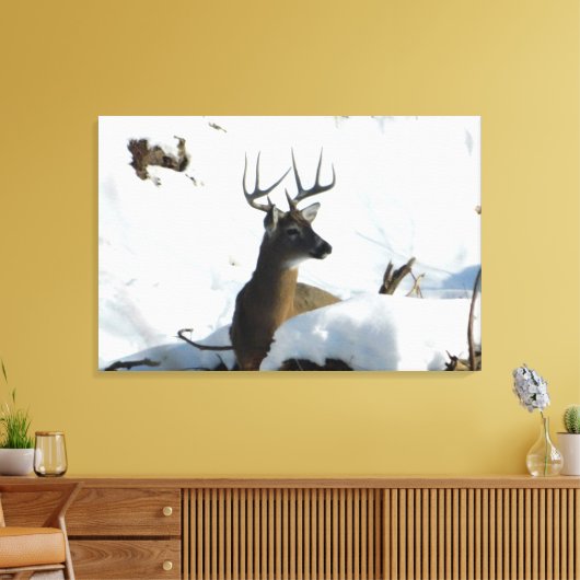Whitetail Herten Winter Antlers Canvas Print (Insitu (Woonkamer))