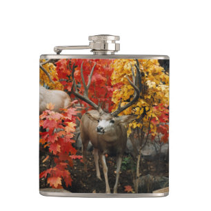 Whitetail in het najaar heupfles