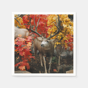 Whitetail in het najaar servet