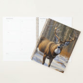 Whitetail Planner (Display)