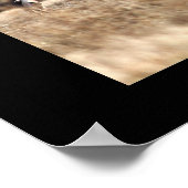 Whitetail-Poster uitvoeren Poster (Hoek)