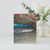 Whitetip Ref Shark 2 Briefkaart (Staand voorkant)