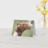 Whitman Notecard Kaart (Gele Bloem)