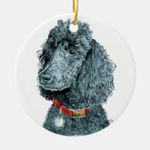 Whitney de Podle Keramisch Ornament