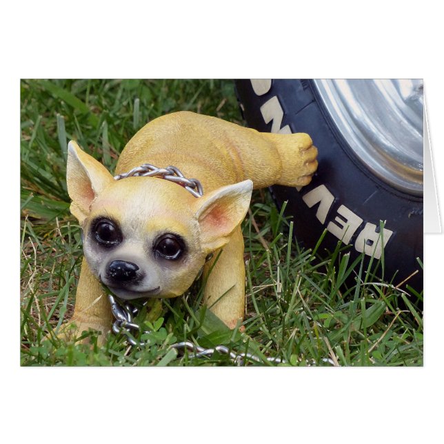 Whiz Kind (Voorkant Horizontaal)