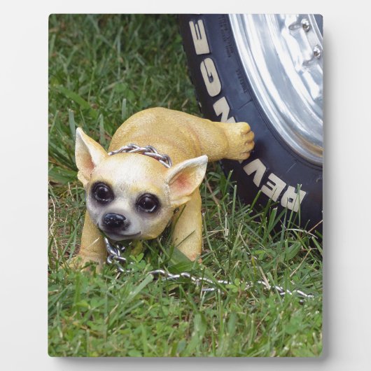 Whiz Kind Fotoplaat (Voorkant)