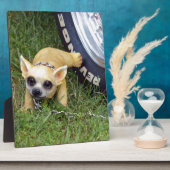 Whiz Kind Fotoplaat (Zijkant)