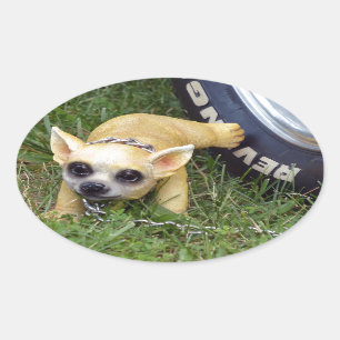 Whiz Kind Ovale Sticker