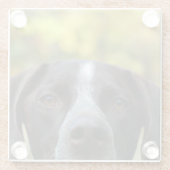 Who Dat Hond Glazen Onderzetter (Achterkant)