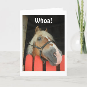 'WHOA SAY THE HORSE' VROLIJK KERSTFEEST VOOR 'YOU' FEESTDAGEN KAART
