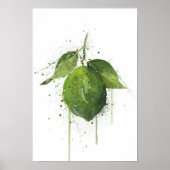 Whole Lime Fruit Poster (Voorkant)