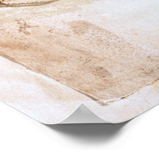 Whooper zwaan (cygnus cygnus) 1835, Lear, Edward Poster (Hoek)