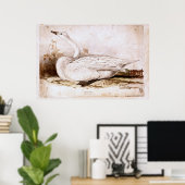 Whooper zwaan (cygnus cygnus) 1835, Lear, Edward Poster (Thuiskantoor)