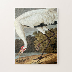 Whooping Crane van John James Audubon Legpuzzel