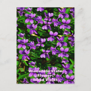 WI State Flower Wood Violet Mosaic Patroon Briefkaart