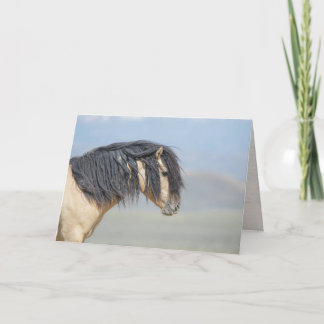 Wicahpi Hinhpaya (Gevallen Sterren) Blanco Kaart