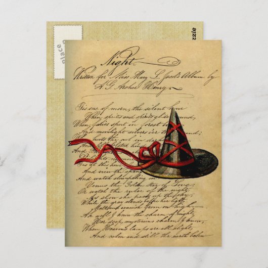 Wicca Chic Witch Pet Night Rhyme Briefkaart (Voorkant / Achterkant)