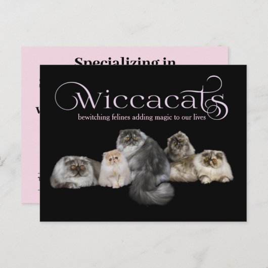 WiccaCats GRAND carte de visite (Devant / Derrière)