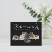 WiccaCats GROOT visitekaartje Briefkaart (Staand voorkant)