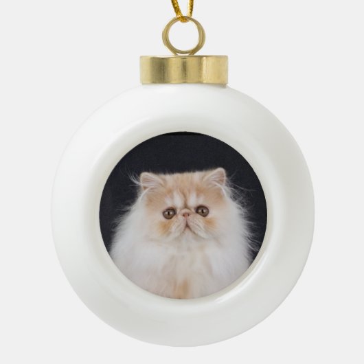 WiccaCats Meira ball ornament (Voorkant)