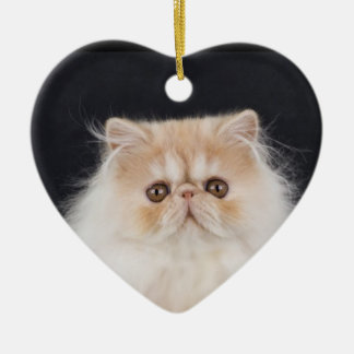 WiccaCats Meira hart ornament