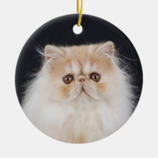 WiccaCats Meira rond ornament
