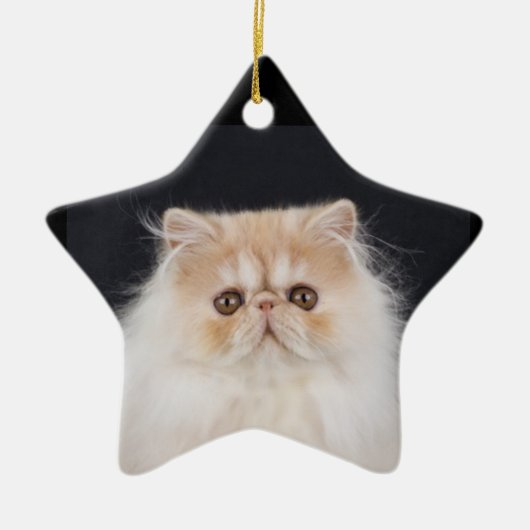WiccaCats Meira star ornament (Voorkant)