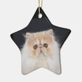 WiccaCats Meira star ornament (Links)