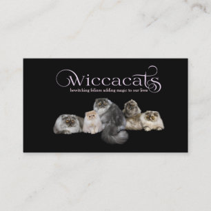 WiccaCats petits cartes de visite