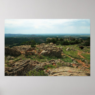 Wichita Mountains Vista met American Bison Poster