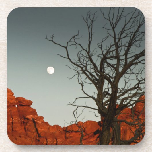 Wicky Moon Bier Onderzetter (Voorkant)