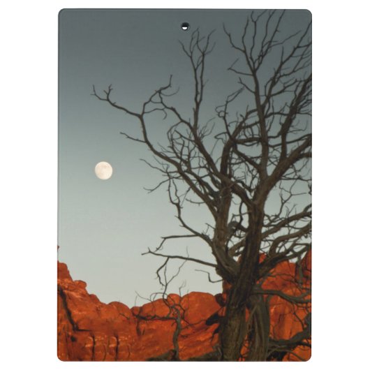 Wicky Moon Klembord (Achterkant)