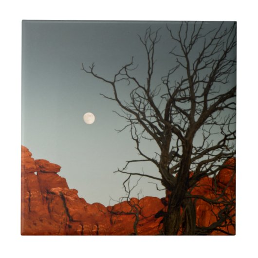 Wicky Moon Tegeltje (Voorkant)