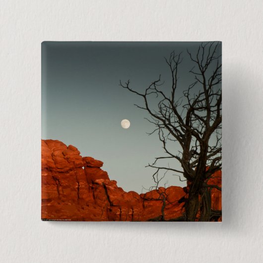 Wicky Moon Vierkante Button 5,1 Cm (Voorkant)