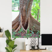 Wide tree roots Florida tree Poster (Thuiskantoor)