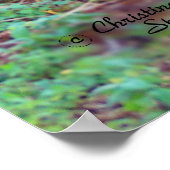 Wide tree roots Florida tree Poster (Hoek)