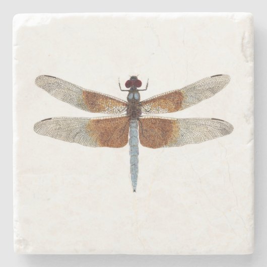 Widow Skimmer Dragonfly Onderzetter (Voorkant)