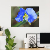 Widows Tears Poster (Thuiskantoor)