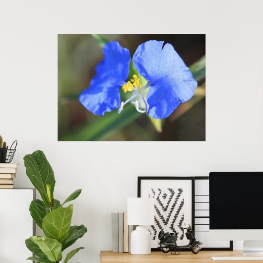 Widows Tears Poster (Thuiskantoor)