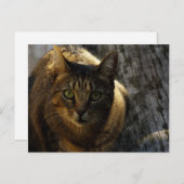 Wie ben ik? briefkaart (Voorkant / Achterkant)