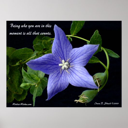 Wie ben je? poster (Voorkant)