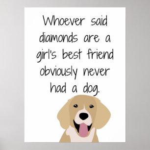 Wie diamanten ook heeft gezegd, is een beste vrien poster