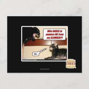 Wie durft me wakker te maken? briefkaart
