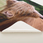 Wie heeft de lantaarns gemaakt met Sherpa Blanket Sherpa Deken (3/4)