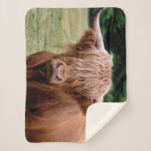 Wie heeft de lantaarns gemaakt met Sherpa Blanket Sherpa Deken (Voorkant)