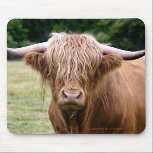 Wie heeft de lichten uitgezet Mousemat Muismat