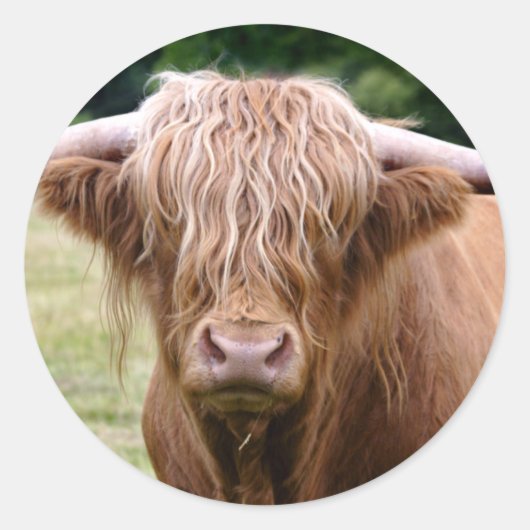 Wie heeft de Sticker van de Lichten uitgezet (Voorkant)