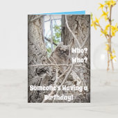 Wie heeft een verjaardag Baby Uil in Tree Kaart (Gele Bloem)