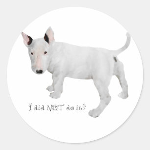 Wie, ik? Bull Terrier Puppy Ronde Sticker